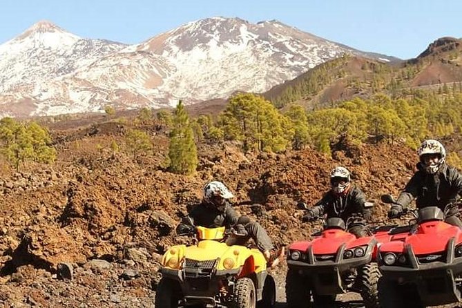 Quad Adventure to Teide - Accessibility and Traveler Considerations