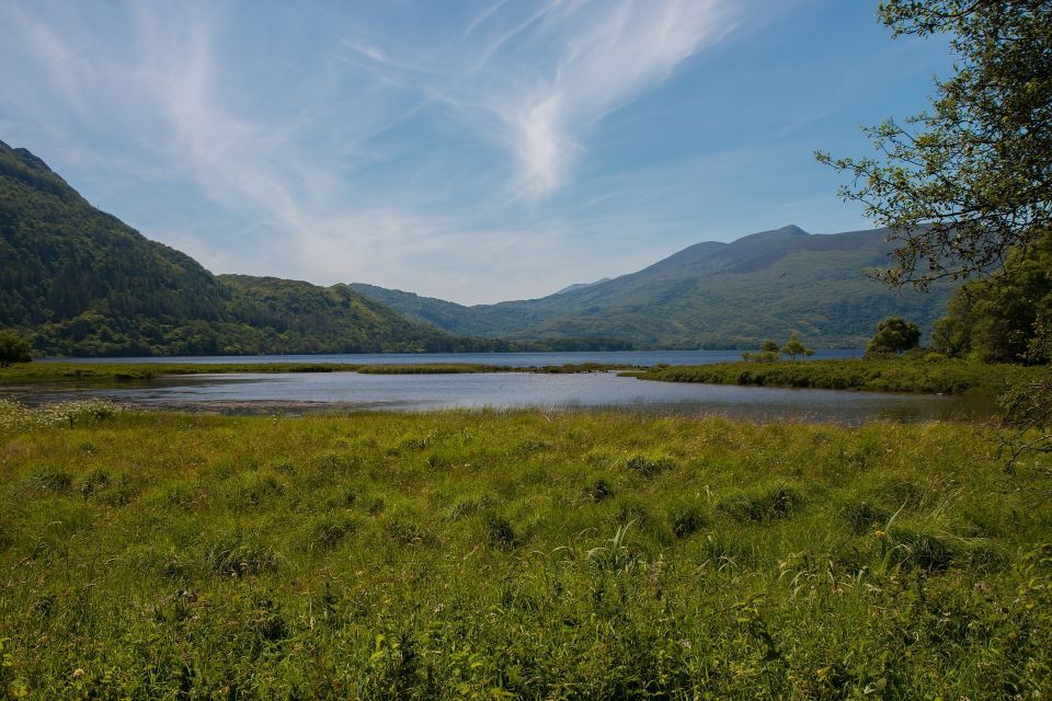 Rail Tour From Dublin: the Ring of Kerry - Customer Feedback