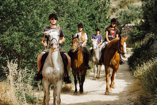 Ranch 22 Podstrana, Horse Riding 12 Km From SPLIT - Meeting and Pickup