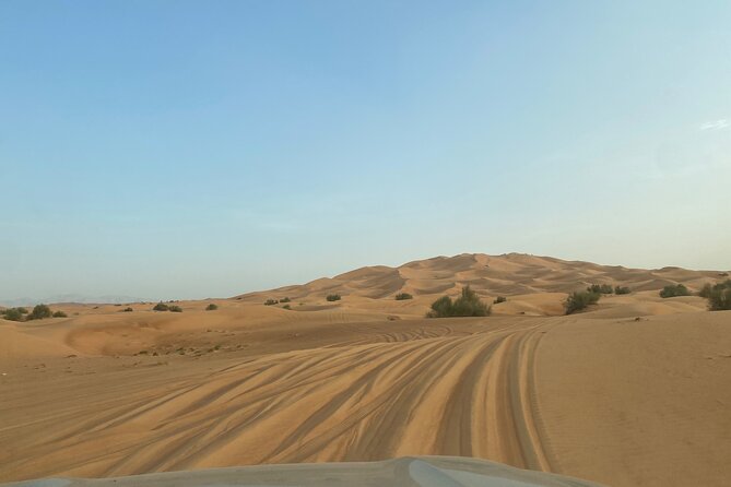 Red Dune 4x4 Desert Safari With Sand Boarding & Camel (4 Hr) - Additional Details