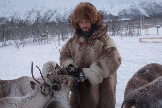 Reindeer Feeding & Saami Culture - Reliable All-Weather Operation