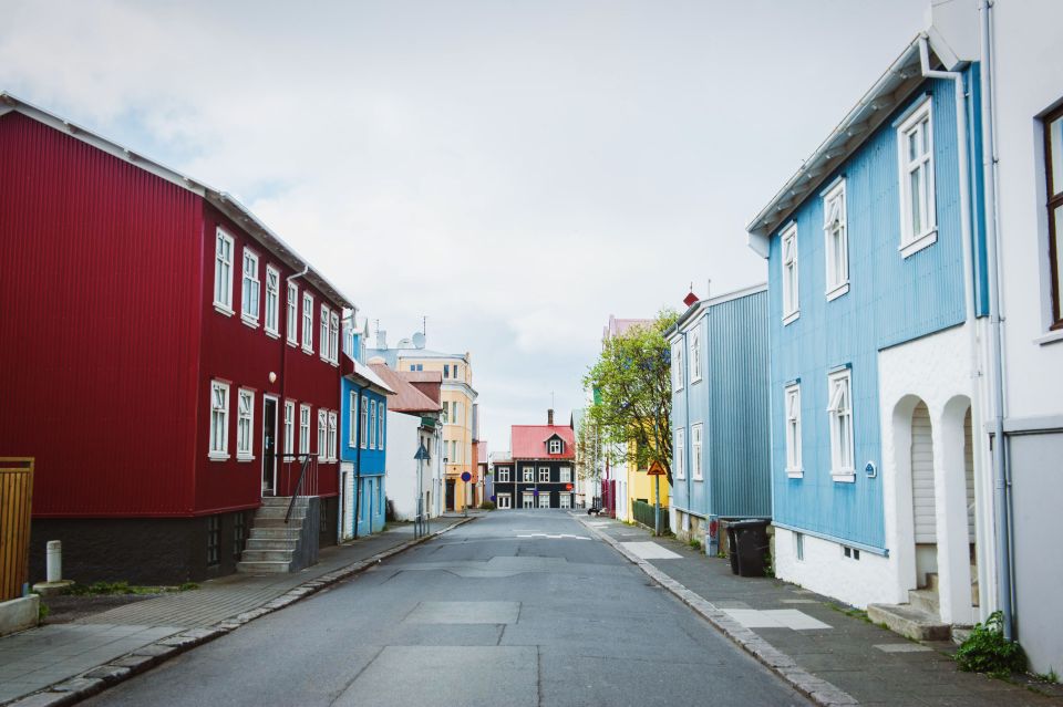 Reykjavik City Walking Tour - Tjörnin Pond and Wildlife