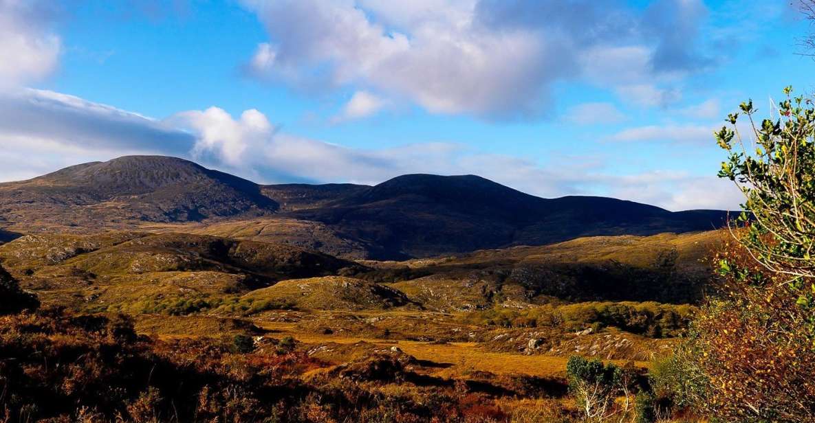 Ring of Kerry: Full-Day Tour From Killarney - Included Lunch