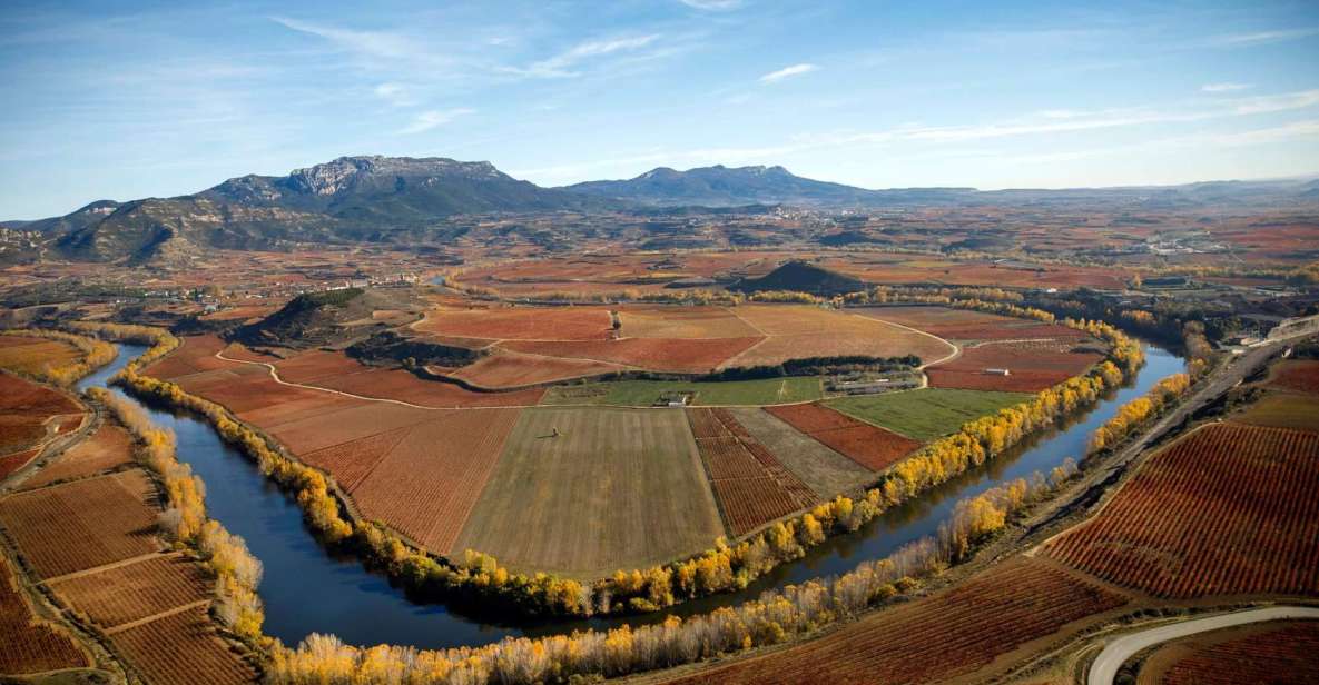 Rioja Alta and Rioja Alavesa Wine Tour (from Rioja) - Riojas Winemaking History and Techniques