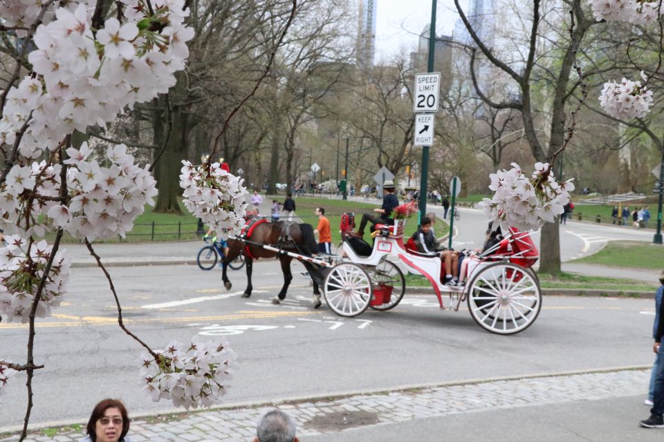 Romantic/Proposal Central Park Carriage Tour Up to 4 Adults - Pricing and Considerations