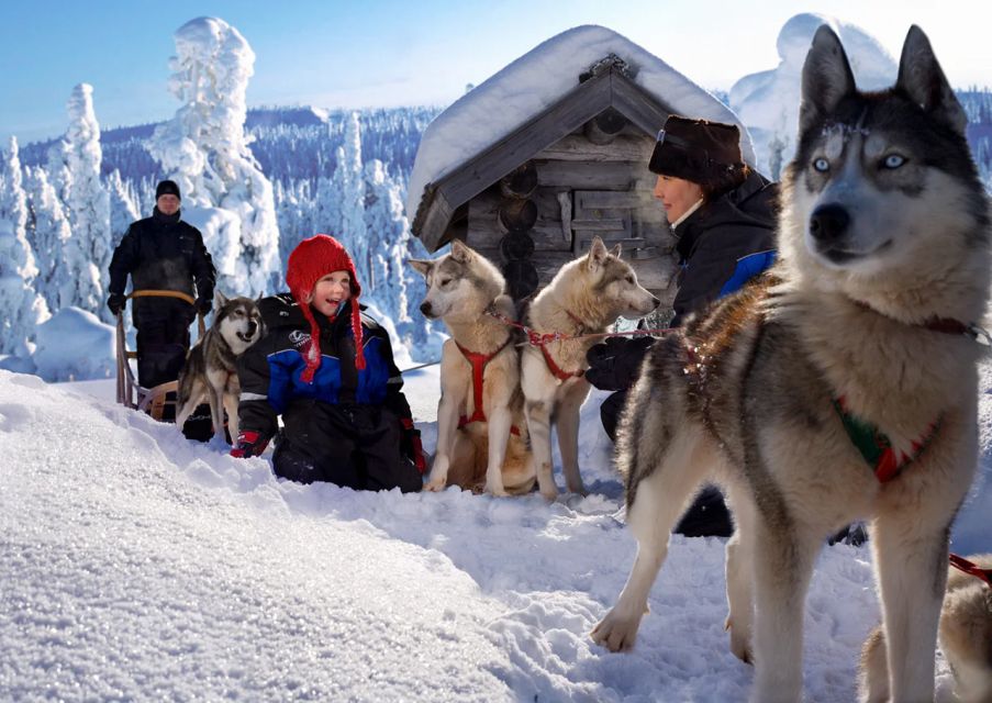 Rovaniemi: Full-Day Highlights Tour With Buffet Lunch - Shopping Opportunities