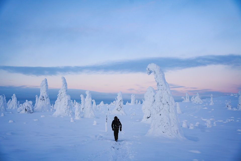 Rovaniemi: Riisitunturi National Park Day Trip With Lunch - Frequently Asked Questions