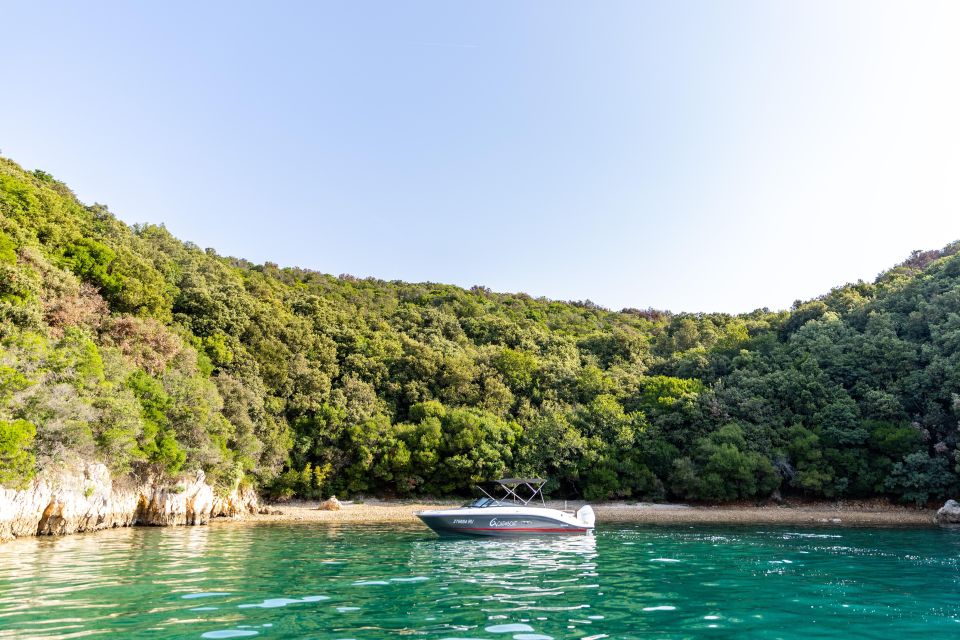 Rovinj: Rovinj Archipelago and Lim Fjord Speedboat Cruise - Customer Experience