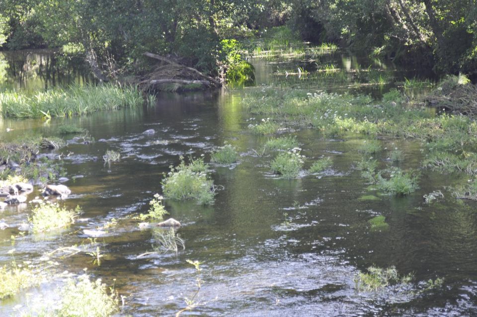 Sabugal Walking Tour: Stories and Charms of the Côa River - Tour Policies and Requirements