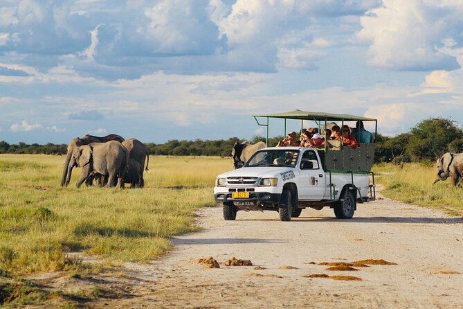 Safari in Etosha National Park With Professional Tour Guides Born in Etosha. - Accessibility and Transportation