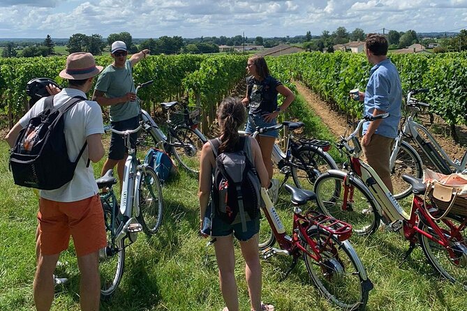 Saint-Emilion E-bike Wine Tour, 2 Wineries & Gourmet Picnic Lunch - Transportation and Logistics