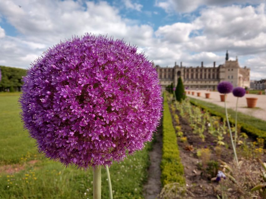 Saint-Germain-En-Laye: History, Forest, View of Paris, Picnic! - Flexible Cancellation Policy