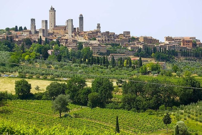 San Gimignano, Chianti, and Montalcino Day Trip From Siena - Transportation and Logistics for the Day Trip