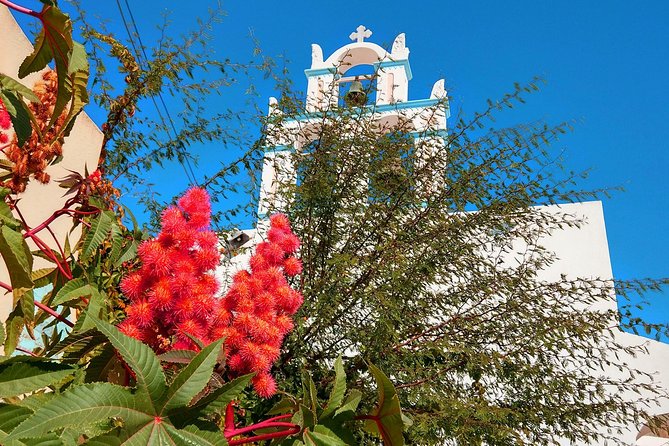 Santorini Day Tour With Sunset in Oia - Emporio Village and Wines