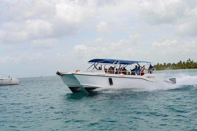 Saona Island Day Trip + Lobsters & Wine Included - Reviews and Feedback