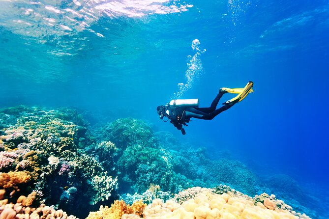 Scuba Diving in Side - Pricing and Cancellation