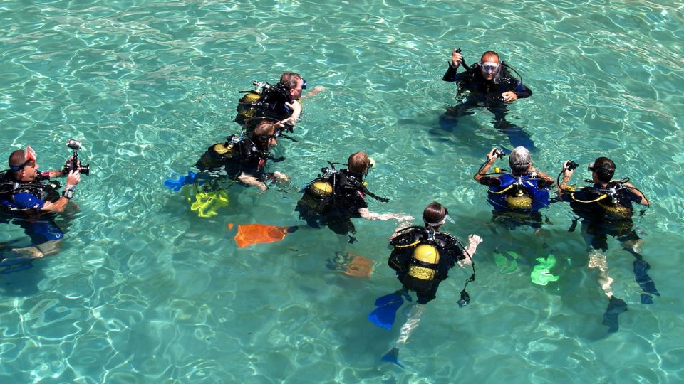 Scuba Diving Tour With Transfer From Alanya and City of Side - Underwater Landscapes and Wildlife