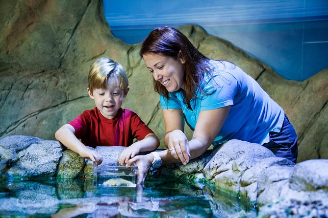 SEA LIFE Manchester Admission Ticket - Visitor Experience