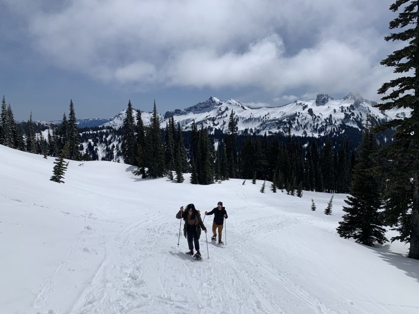 Seattle: Mt. Rainier Hiking W/ Waterfalls, Glaciers & Trees - Duration & Group Size