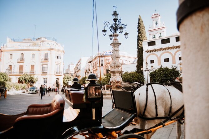 Seville Guided Small-Group Walking Tour - Tour Accessibility