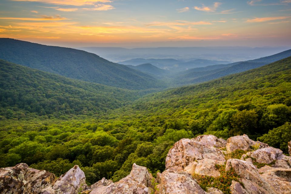 Shenandoah National Park: Self-Driving Audio Guide - Wildlife and Nature Trails