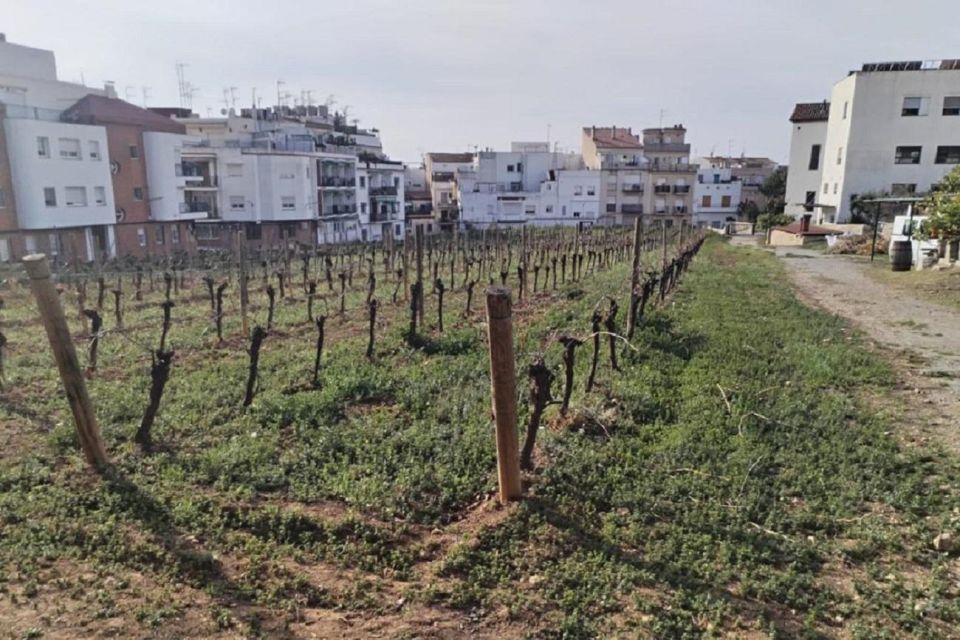 Sitges: Sailboat Trip + Walking Tour and Wine Cellar Tour - Inclusions and Exclusions