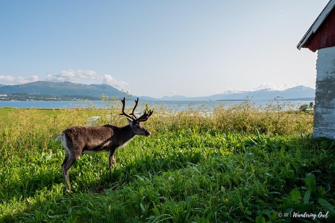 Small-group Arctic Landscapes Sightseeing - With Citizen Science - From Tromso - Tour Group Size