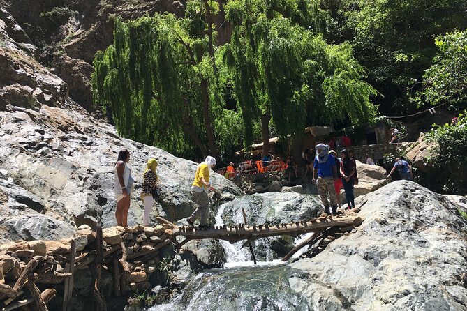 Small Group Day Trip to Ourika Valley & Atlas Mountains - Marrakech City Travels Expertise and Excellence