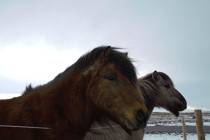 Small-Group Golden Circle Full-Day Tour From Reykjavik - Helpful Information