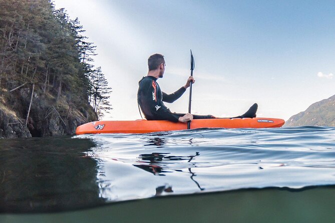 Snorkel, Kayak, and Seal Adventure: Vancouver Boat Tour - Highlights of the Adventure