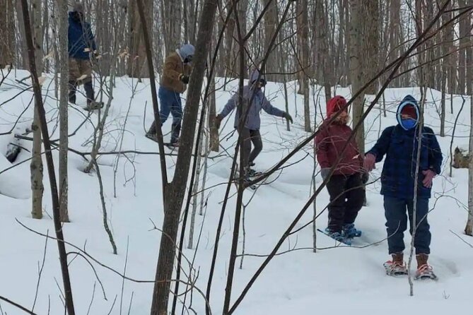 Snowshoe Awenda Provincial Park on Beautiful Georgian Bay - Meeting Point and Directions