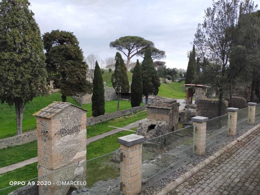 Sorrento: Half-Day Pompeii Tour With Official Guide - Discover Pompeiis Preservation