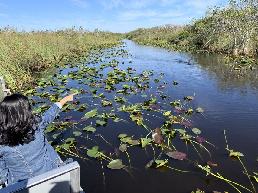 South Beach: Everglades Wildlife Airboat Tour - Frequently Asked Questions