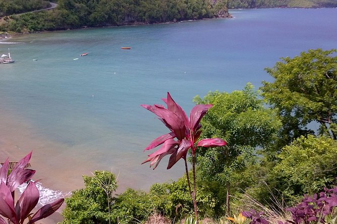 St. Lucia Tet Paul Nature Trail Tour - Panoramic Views and Surrounding Scenery