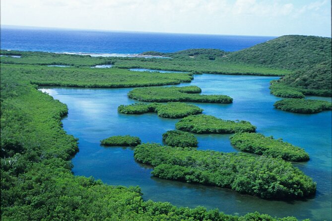 St Thomas Mangrove Lagoon Kayak and Snorkel Tour in the US Virgin Islands - Additional Tour Details