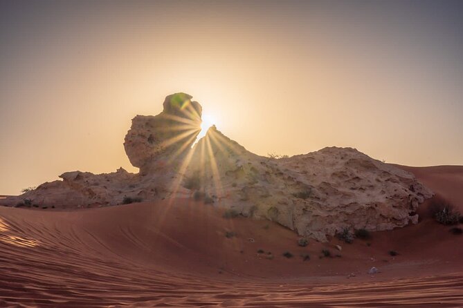 Sunrise/Morning Dune Drive With Camel Trek & Sand Surfing - Restrictions and Considerations