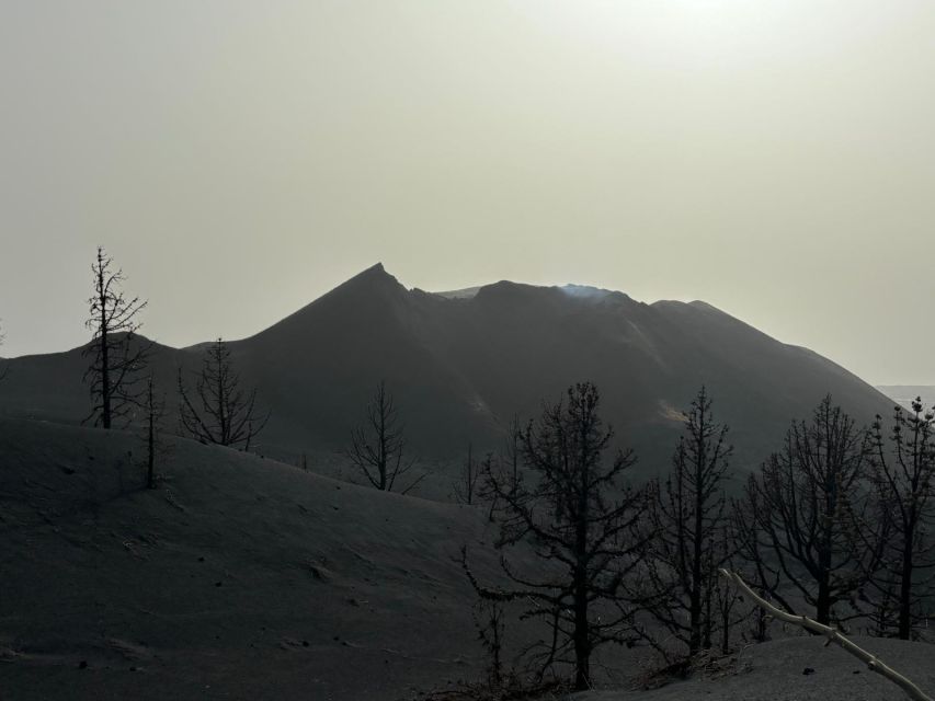 SUNSET AT THE TAJOGAITE VOLCANO (WITH GUIDE-NO TRANSFER) - Booking and Cancellation Policy