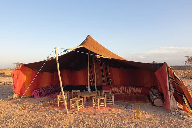 Sunset Camel Ride Marrakech Palmeraie - Group Size Limit Observed