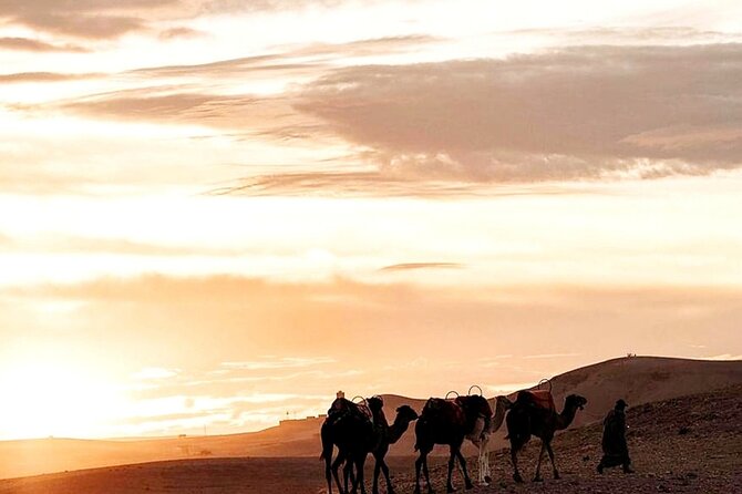 Sunset & Dinner in Desert Agafay Marrakech With Camels - Booking and Cancellation