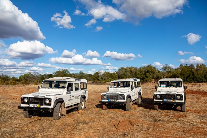 Super Day- Jeep Tour + Arade River Cruise - River Cruise Experience