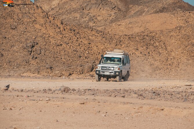 Super Safari ATV Quad Full Day and Jeep & Camel Ride & Dinner Party - Hurghada - Dinner, Bottled Water, and Coffee/Tea