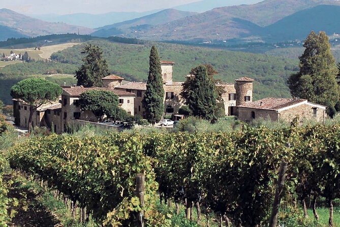 Supertuscan Wine Tour - Masterclass by a Wine Expert - Booking Information