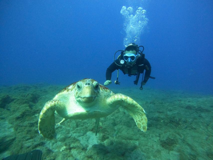 Tenerife: PADI Open Water Diver Course - Highlights and Inclusions