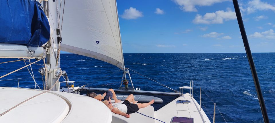 Tenerife: PRIVATE Catamaran Cruise With Lunch and Drinks - Departure and Pick-up Locations
