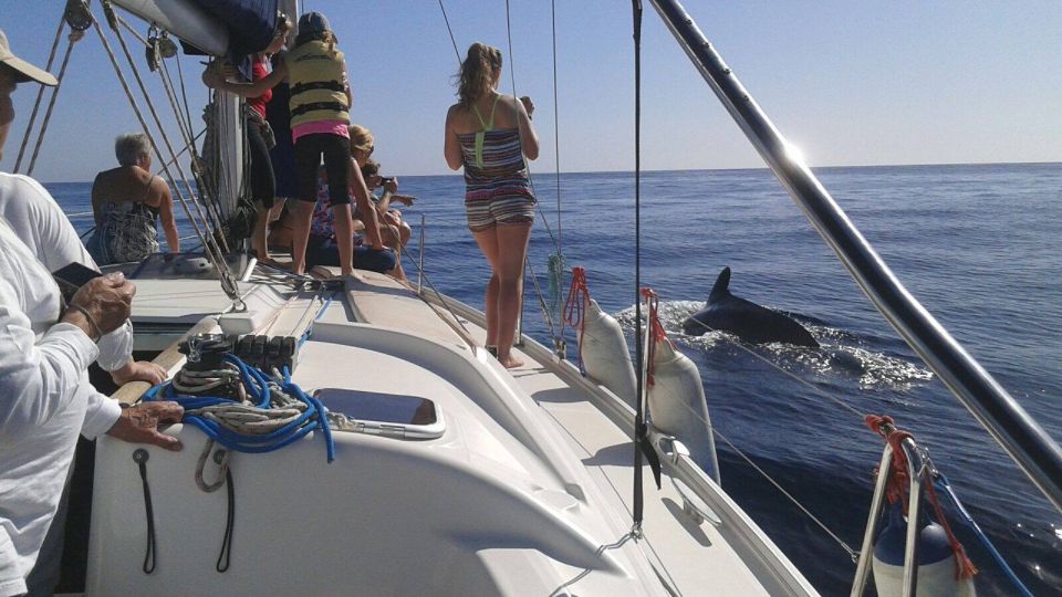 Tenerife: Private or Group 3 Hour Sailing Cruise With Drinks - Cancellation Policy