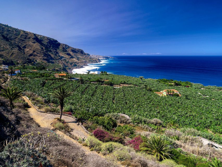 Tenerife Private Tour: Full-Day Historic North - Transport and Guide