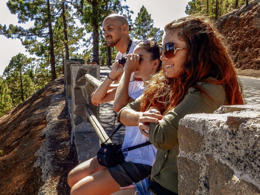 Tenerife Private Tour: Teide and Flavors of The North - Tailored to Your Needs