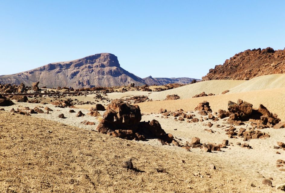 Tenerife: Teide National Park & Teno Rural Park Private Tour - Electric Car Ride Duration