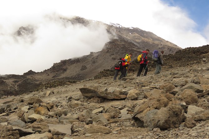 The Best 8 Days Kilimanjaro Climbing via Lemosho Route Package - Inclusions and Exclusions