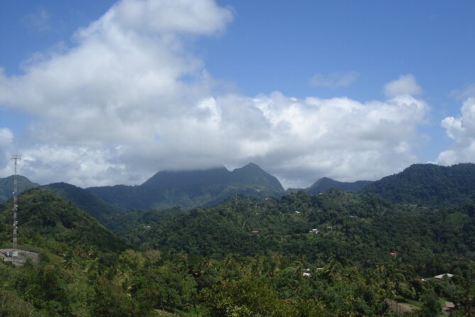 The Best of Saint Lucia Tour - Discovering Diamond Falls Botanical Gardens